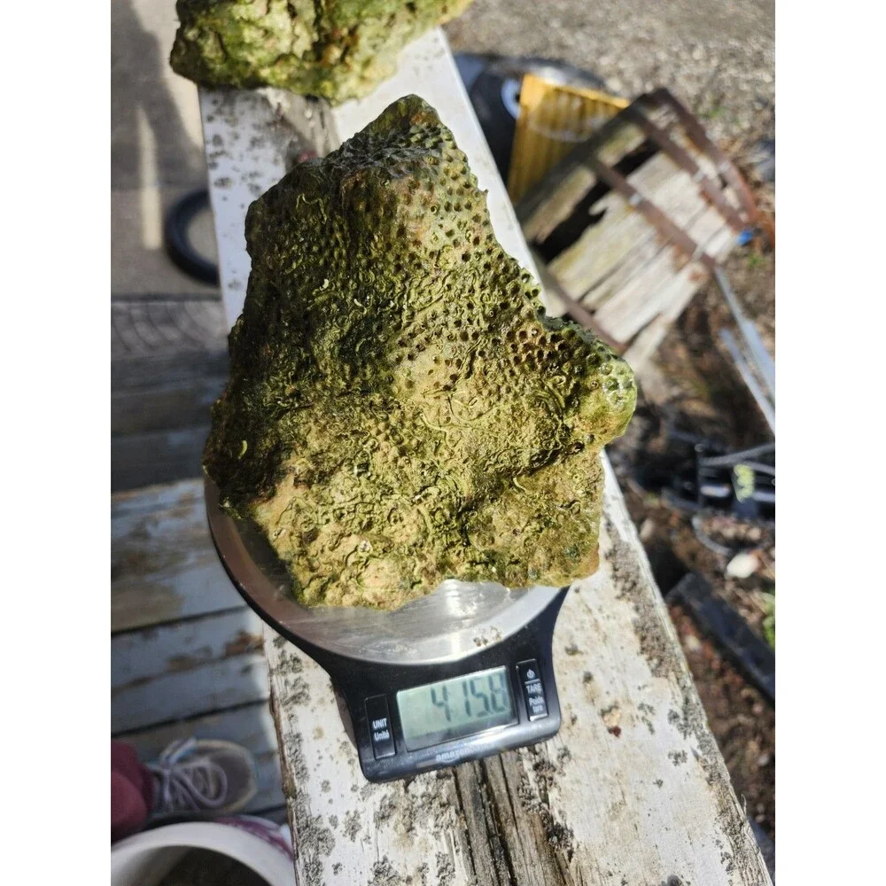 Fiji Dry Base Rock for Saltwater Aquarium Setup Natural Reef Rock Aquascaping